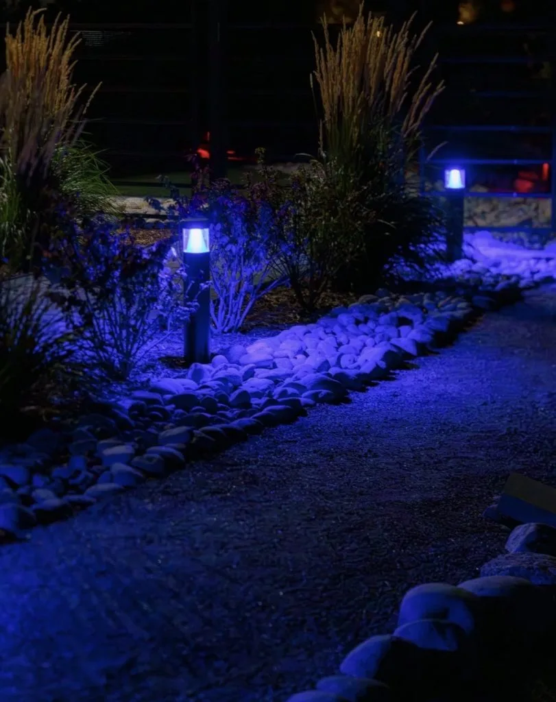 Illuminate path with glowing blue lights and decorative rocks against a dark backdrop